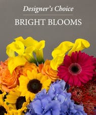 Designers Choice in Bright Blooms