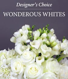 Designers Choice in Wonderous Whites
