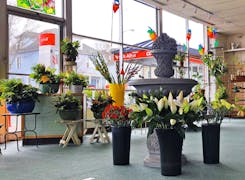 Gorgeous flower and plant arrangements in a wide range of pots and baskets