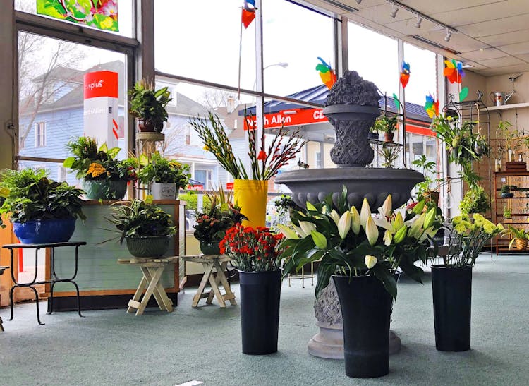 Gorgeous flower and plant arrangements in a wide range of pots and baskets